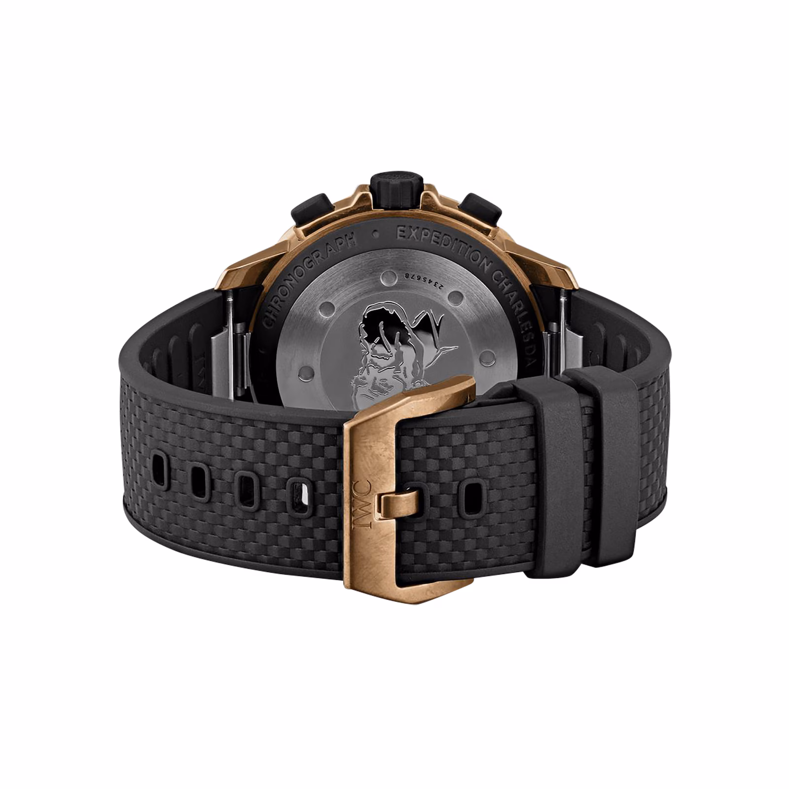 【Super Clone】IWC Aquatimer 'Expedition Charles Darwin' 44mm Mens Watch IW379503