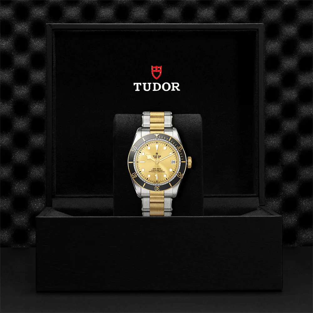 【Super Clone】TUDOR Black Bay S&G 41mm Champagne Dial Automatic Men's Bracelet Watch M79733N-0004