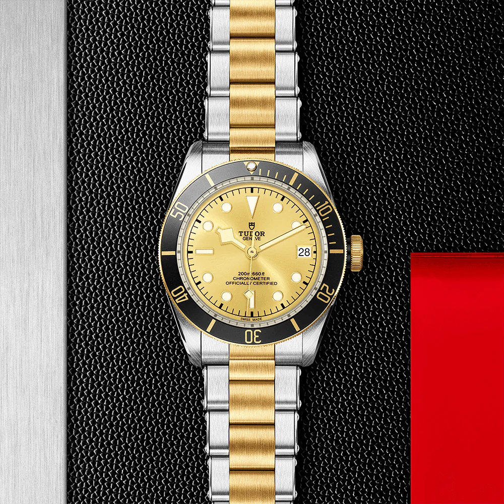 【Super Clone】TUDOR Black Bay S&G 41mm Champagne Dial Automatic Men's Bracelet Watch M79733N-0004